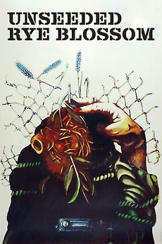 Unseeded Rye Blossom (1979) directed by Marijonas Giedrys • Film ...