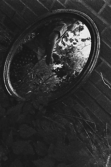 ‎Sol Alegria Del Mare Alias Yume Nikki (2023) directed by Daniel Zander