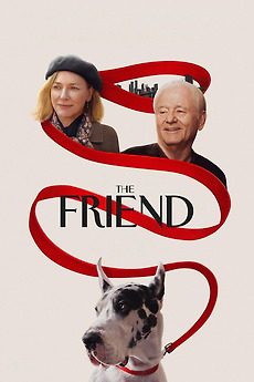 ‎The Friend (2024) directed by Scott McGehee, David Siegel • Reviews