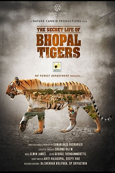 ‎The Secret Life of Bhopal Tigers • Film + cast • Letterboxd