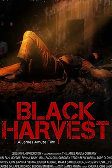 Black Harvest • Film + cast • Letterboxd