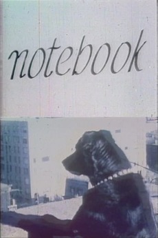 ‎Notebook (1961) directed by Marie Menken • Reviews, film + cast ...