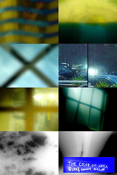 ‎The Color of Work (2024) directed by Connor Parsley • Reviews, film ...