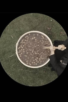 â ži Feel Connected Again 2023 Directed By Maram Alsulaiman â Film