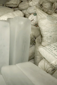 ‎Moving Ice (2024) directed by Susan Schuppli • Reviews, film + cast ...