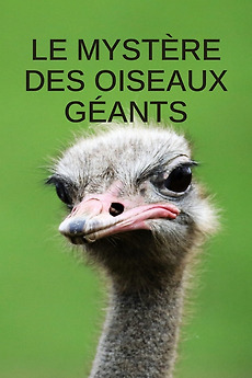 ‎Mystery of the Giant Birds (2024) directed by Bertrand Loyer • Film ...