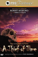A Thief Of Time