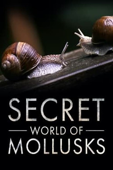 ‎Secret World of Mollusks (2021) directed by Manuel Lefèvre • Reviews ...