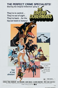 The Daring Dobermans 1973 Directed By Byron Chudnow Reviews