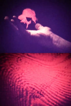 ‎Visual Alchemy (1973) directed by Al Razutis • Reviews, film + cast ...