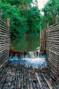 ‎The Trap (2024) directed by Ferney Iyokina Gittoma • Film + cast