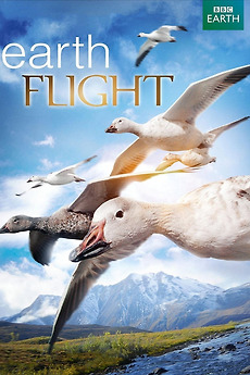 ‎Earthflight (2011) • Reviews, film + cast • Letterboxd