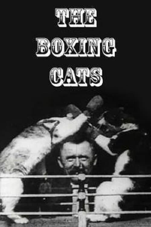 The Boxing Cats (Prof. Welton's) poster