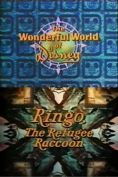 Ringo Raccoon Ringo, the Refugee Raccoon (1974) directed by Roy Edward Disney ...