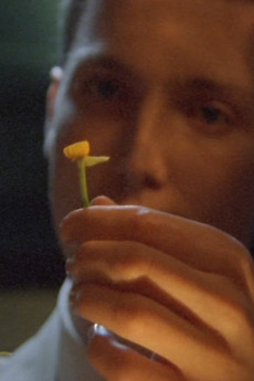 ‎The Man Who Loved Flowers (2004) directed by Adrian Warren • Reviews ...