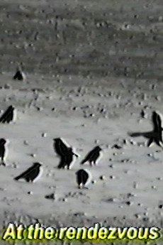  RENDEZVOUS (2024) directed by chandler pippin • Film + cast • Letterboxd Bildidee 