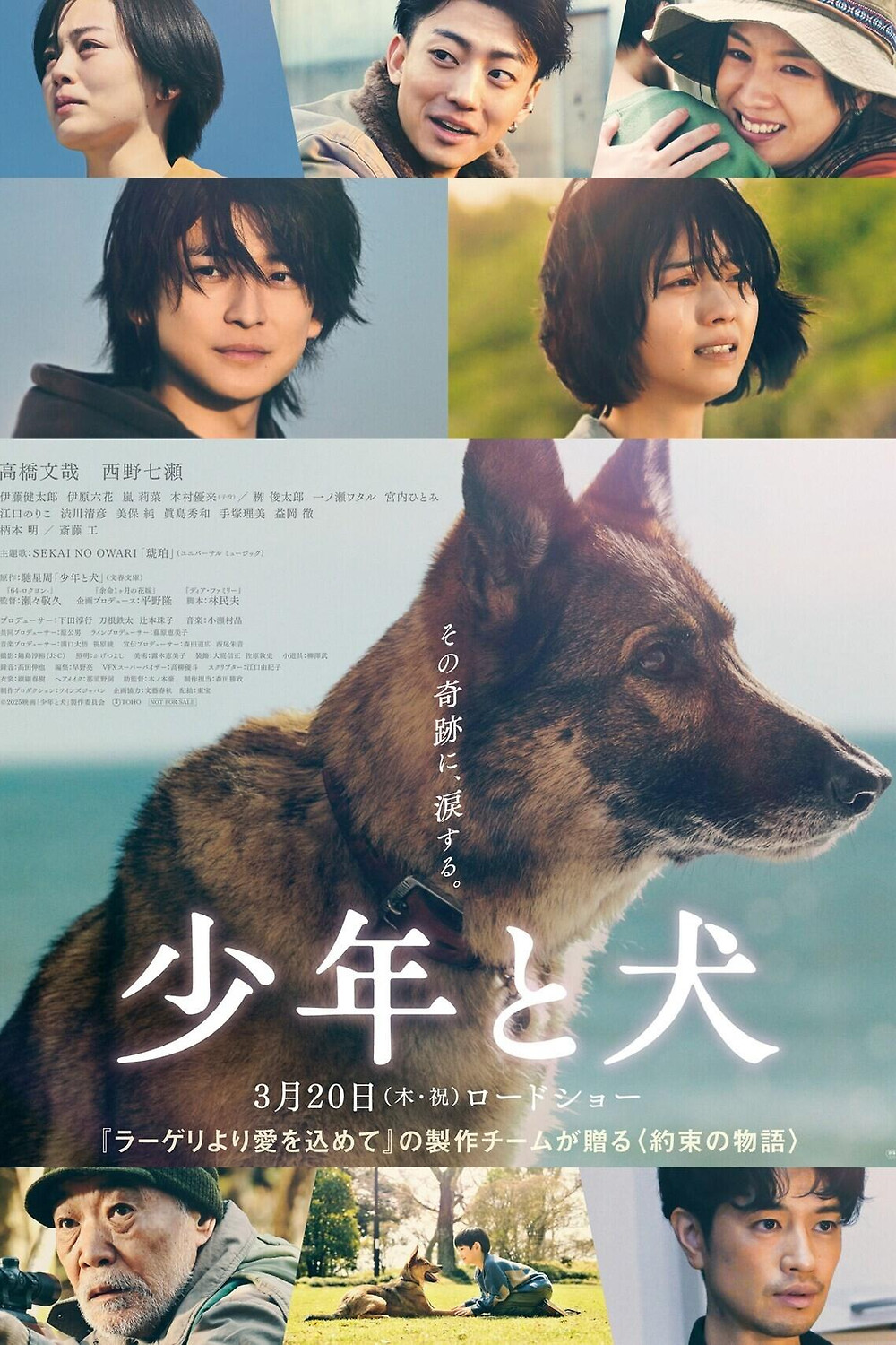 邦画・日本映画 boy Boy (2010) - IMDb