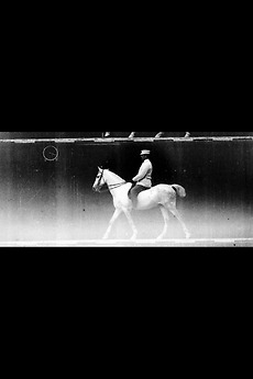‎Horse (Cob), Mounted, Steps (1891) directed by Étienne-Jules Marey
