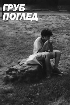 ‎Harsh Look (2024) directed by Toma Malamin, Boyan Siriyski • Film ...