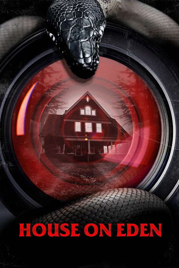 Letterboxd - highspot