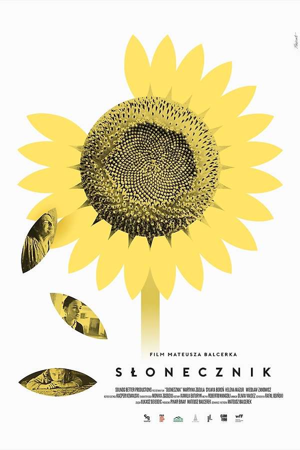 Sunflower (2024) directed by Mateusz Balcerek • Reviews, film +