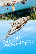 Poster for Seaside Serendipity (2025)