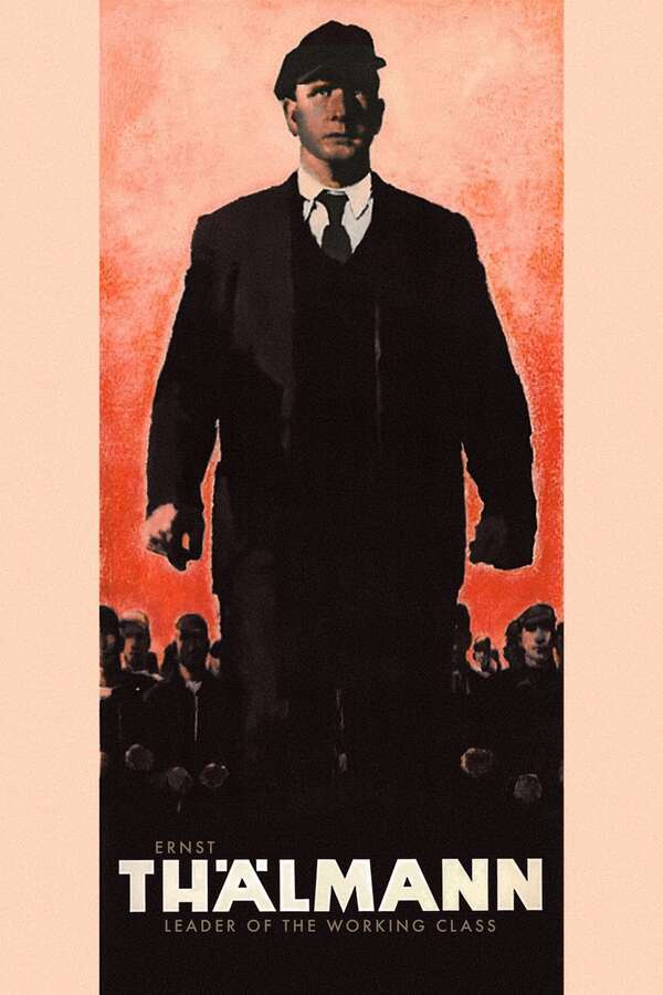 Letterboxd - vanilla_chief