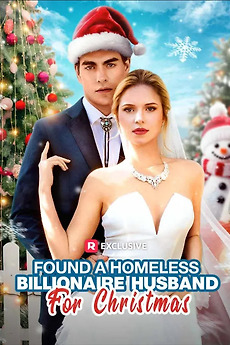 ‎Found a Homeless Billionaire Husband for Christmas (2024) directed by