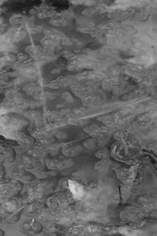 ‎In The Bleak Midwinter (2025) directed by Zachary Rappaport • Reviews