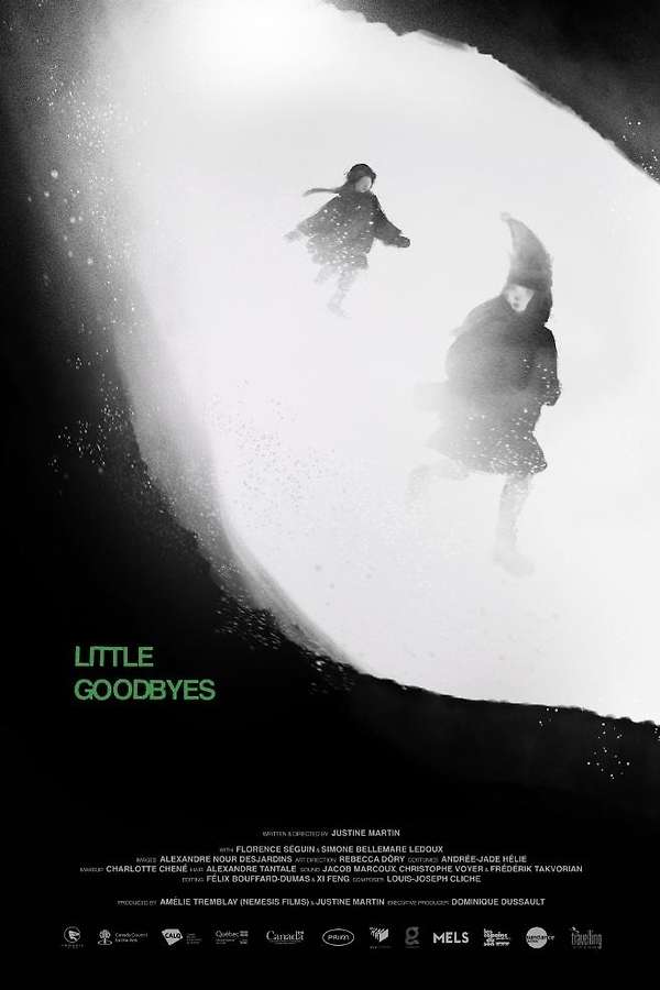 Movie poster for Little Goodbyes