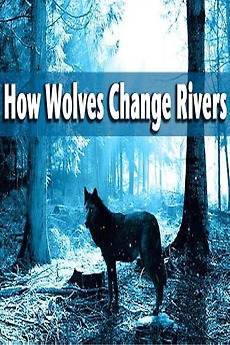 ‎How Wolves Change Rivers (2014) directed by George Monbiot • Reviews ...