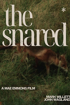 ‎The Snared (2025) directed by Mae Emmons • Film + cast • Letterboxd