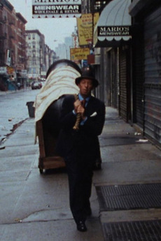 ‎Lester Shot From A Cannon (1992) directed by Adam Yaffe • Film + cast ...