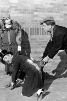Move Along (1926) directed by Norman Taurog • Reviews, film + cast