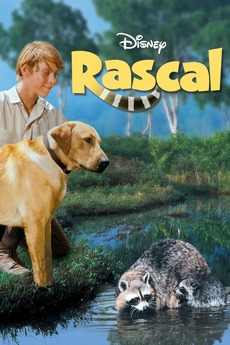 ‎Raccoons in Movies, a list of films by Crawlspace Dweller Matt [♥ ...