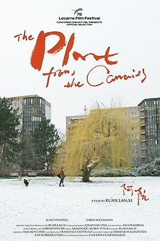 The Plant from the Canaries (2025) directed by Ruan Lan-Xi  Reviews, film  + cast  Letterboxd