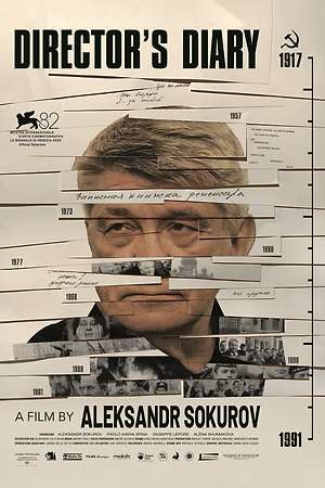 Director's Diary (2025)