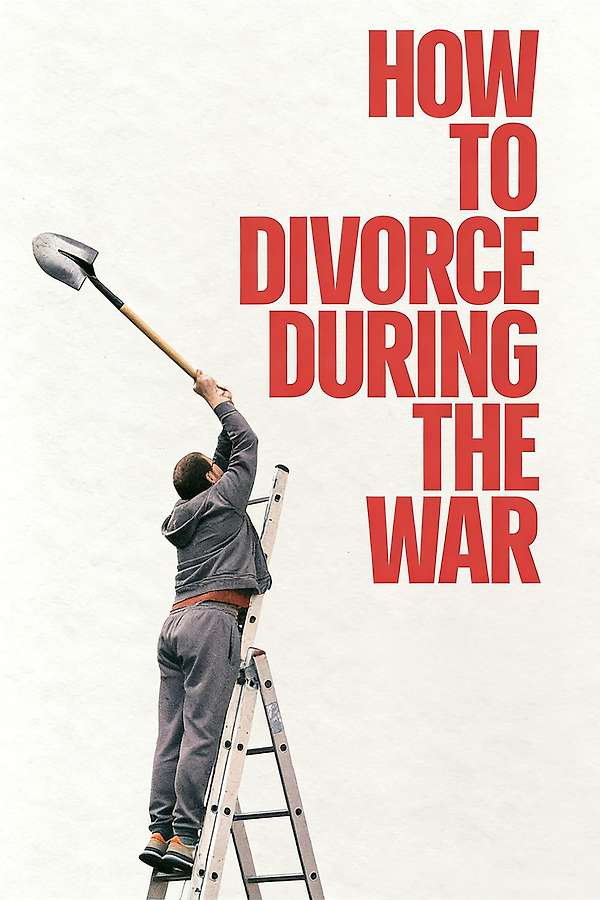 Póster de How to Divorce During the War
