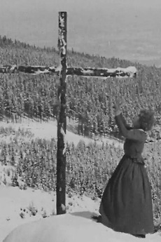 ‎Winter Storms (1924) directed by Otto Rippert • Film + cast • Letterboxd