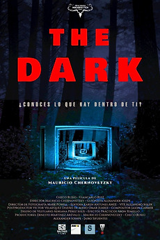 The Dark (2025) directed by Mauricio Chernovetzky • Reviews, film