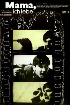 (未使用･未開封品)Wolfsgrub: Portrait of My Mother [DVD] Amazon.co.jp: Wolfsgrub: Portrait of My Mother [DVD] : Fred