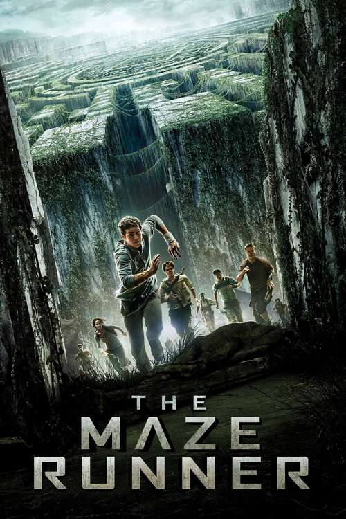 Cover The Maze Runner