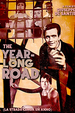 The Year Long Road
