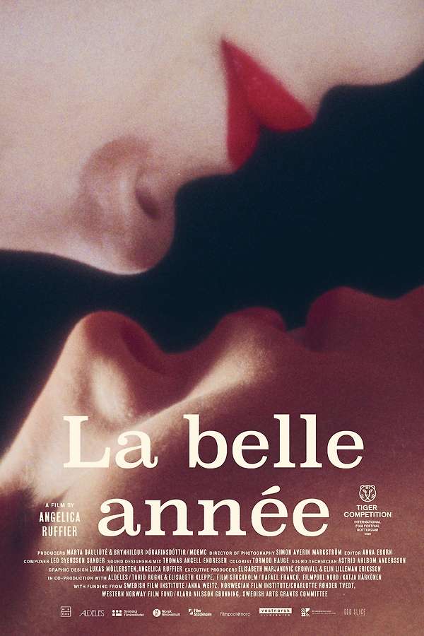 La belle année poster