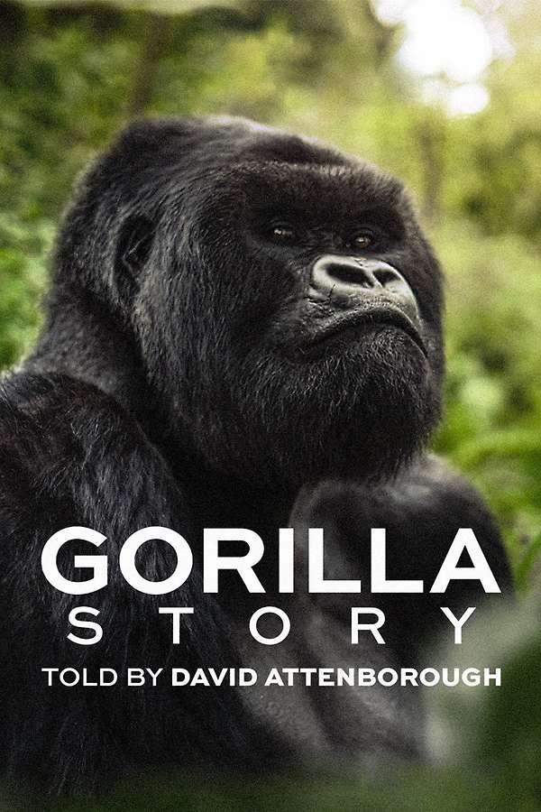 Poster for A Gorilla Story: Told by David Attenborough, 2026