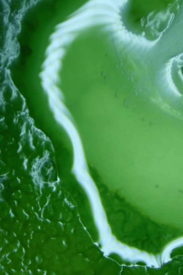 Poster for Ideas of Order, 2025