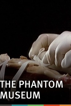 The Phantom Museum: Random Forays Into the Vaults of Sir Henry