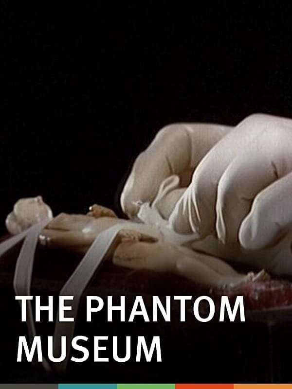 希少　Phantom Museum's The Short Films The Phantom Museum: Random Forays Into the Vaults of Sir Henry