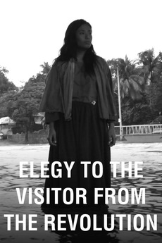 Elegy to the Visitor from the Revolution