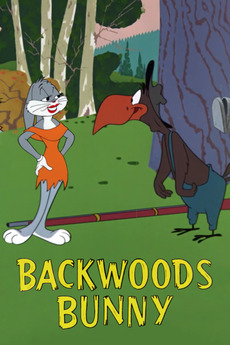 ‎Backwoods Bunny (1959) directed by Robert McKimson • Reviews, film